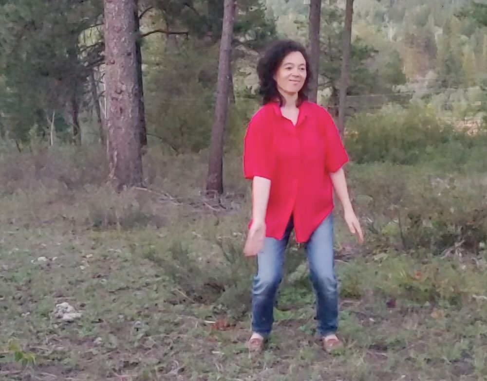 qigong online cara conroy-lau